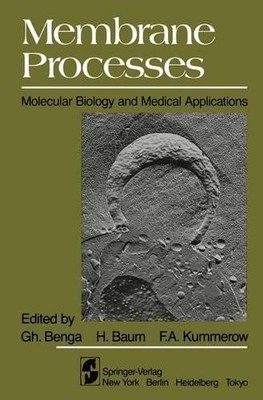 Membrane Processes - 9781461382768