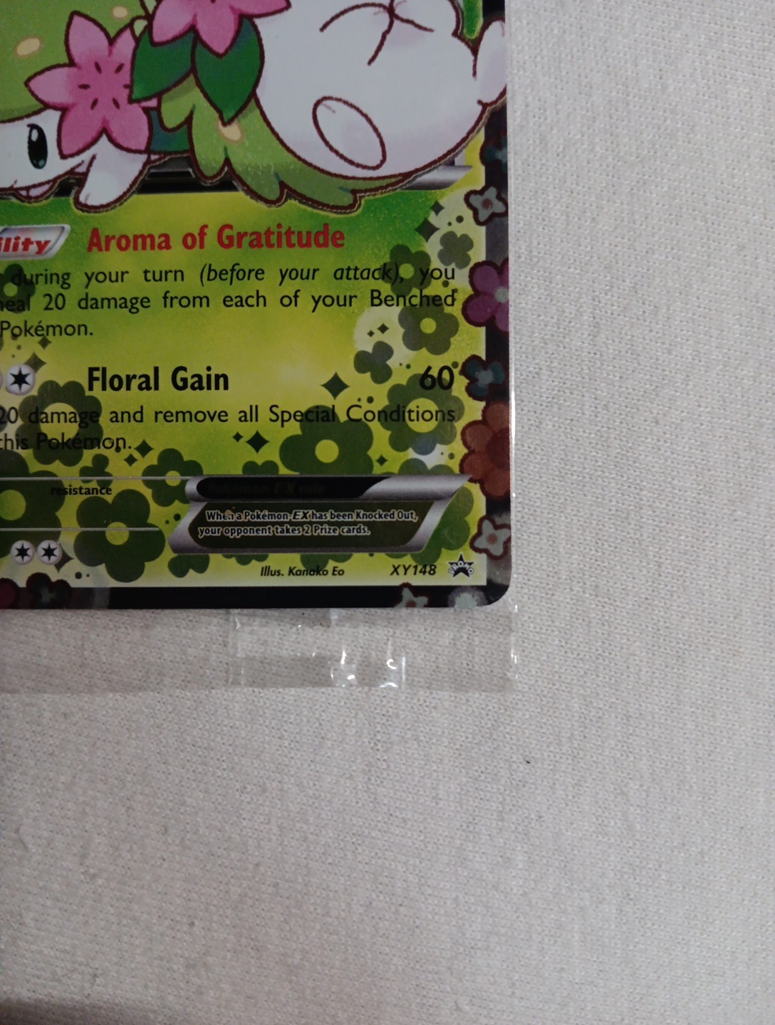 Bild 5 von 10