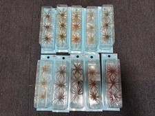 HIDEUP Old Coike Soft Bait Lot of 10 Packs New Unopened Rare Colors Japan Fs