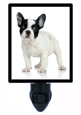 Dog Decorative Photo Night Light, French Bulldog