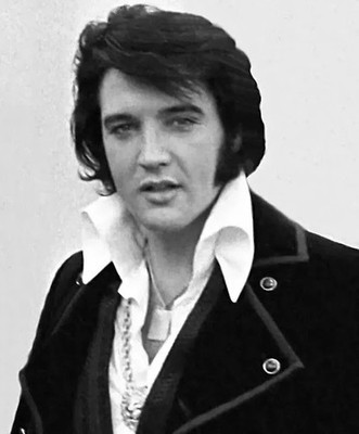 Elvis  Presley  The King    8X10 CELEBRITY PHOTO PICTURE HOT SEXY  T3992.