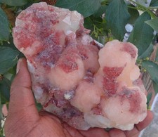 Stilbit Auf Chalcedony Kristalle Rock Mineralien Probe Bo = 4