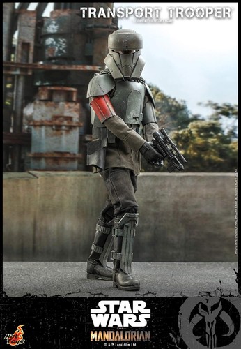 TV Masterpiece The Mandarorian Transport Trooper 1/6 Ash Color Action Figure JP - Imagen 3 de 12