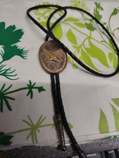 Vintage Bolo Tie With Eagle Ornament