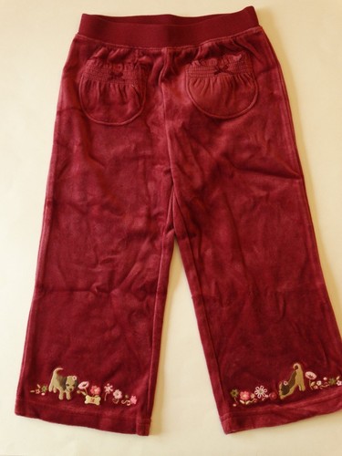 NUEVO CON ETIQUETAS GYMBOREE NIÑAS TERCIOPELO SUDADERA CON CAPUCHA CONJUNTO PANTALONES PERRO BORGOÑA 2T 2 HUESO PRÍMULA LÍNEA - Imagen 5 de 5