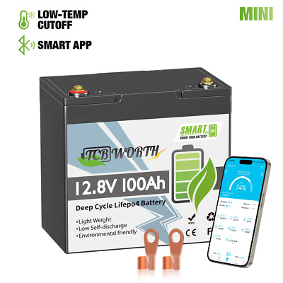 12V 100Ah LiFePO4 Lithium Akku Bluetooth 100A BMS Für Solaranlage Wohnmobil Boot