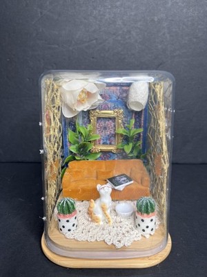 Orange and gold jumping Spider Enclosure with cat 