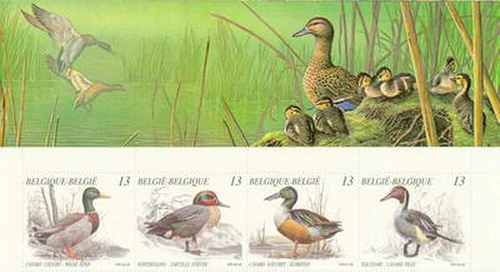 BELGIUM Boekje/Carnet 19 + OBP 2332/35 ** Eenden