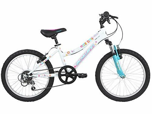 20 inch rainbow bike 2025