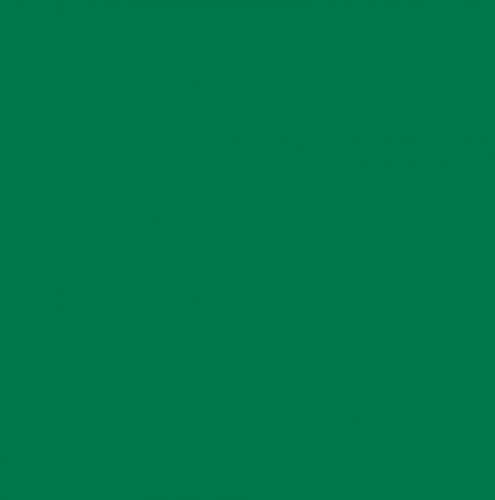 NEW 6" single Offset Vinyl RACING STRIPES Decal (Fits Chevy CORVETTE C5) - Bild 16 von 17