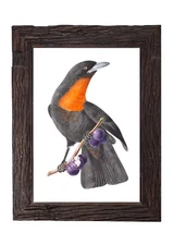 Vintage Fruit Crow Illustration 5x7 Black Bird Wall Art Print Retro Home Decor