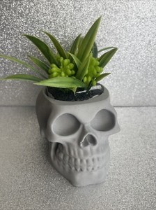 Skull Cement Flower Pot