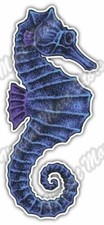 Seahorse Marine Fish Sea Horse Ocean Car Bumper Vinyl Sticker Decal 3"X6"