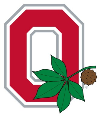 #ad #ad Ohio State Buckeyes Alternate Die Cut Laminated Vinyl Sticker All Weather Safe $3.84