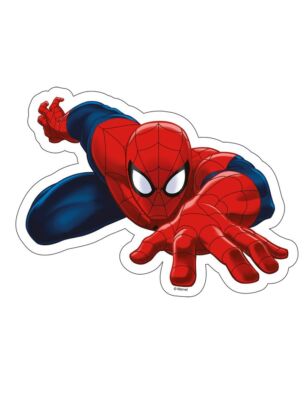Spiderman Essbar Superhelden Hero Web Tortenaufleger Torte Geburstag + TEXT