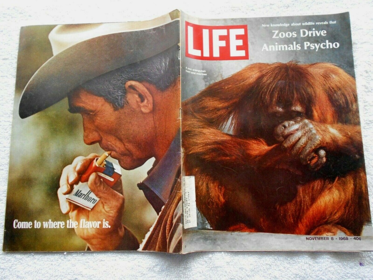 Herp Life(ハープライフ) Make The Living With Creatures 2004.NOV.#004 (The Breeder’s Magazine) Herp Life | Miami FL