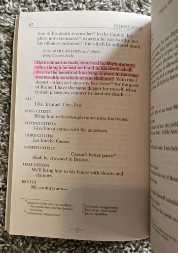ABeka Julius Caesar novel for 10th grade - Picture 4 of 4