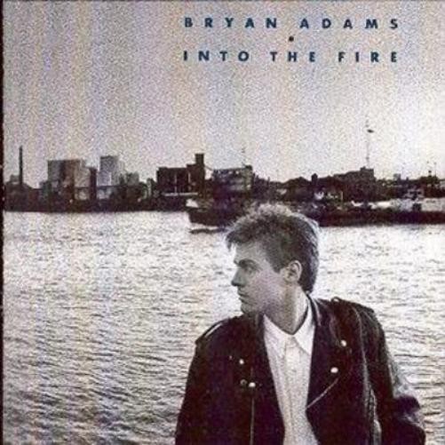 Альбом Bryan Adams Into the Fire (CD) (ИМПОРТИРОВАН из Великобритании)