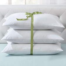 BrylaneHome 3-Pack Pillow Set