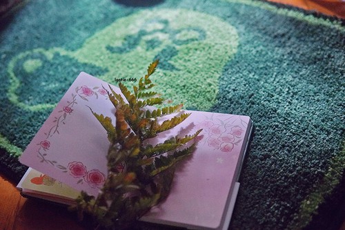 Alfombra de café Animal Crossing Brewster juego acolchado alfombra suave 80*60 cm verde - Imagen 7 de 16