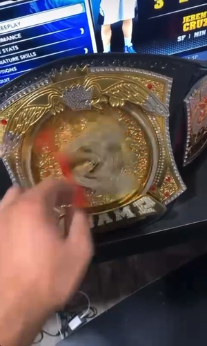 WWE World Heavyweight Championship Spinner Replica Title Belt 4mm Brass - Video 1 of 1