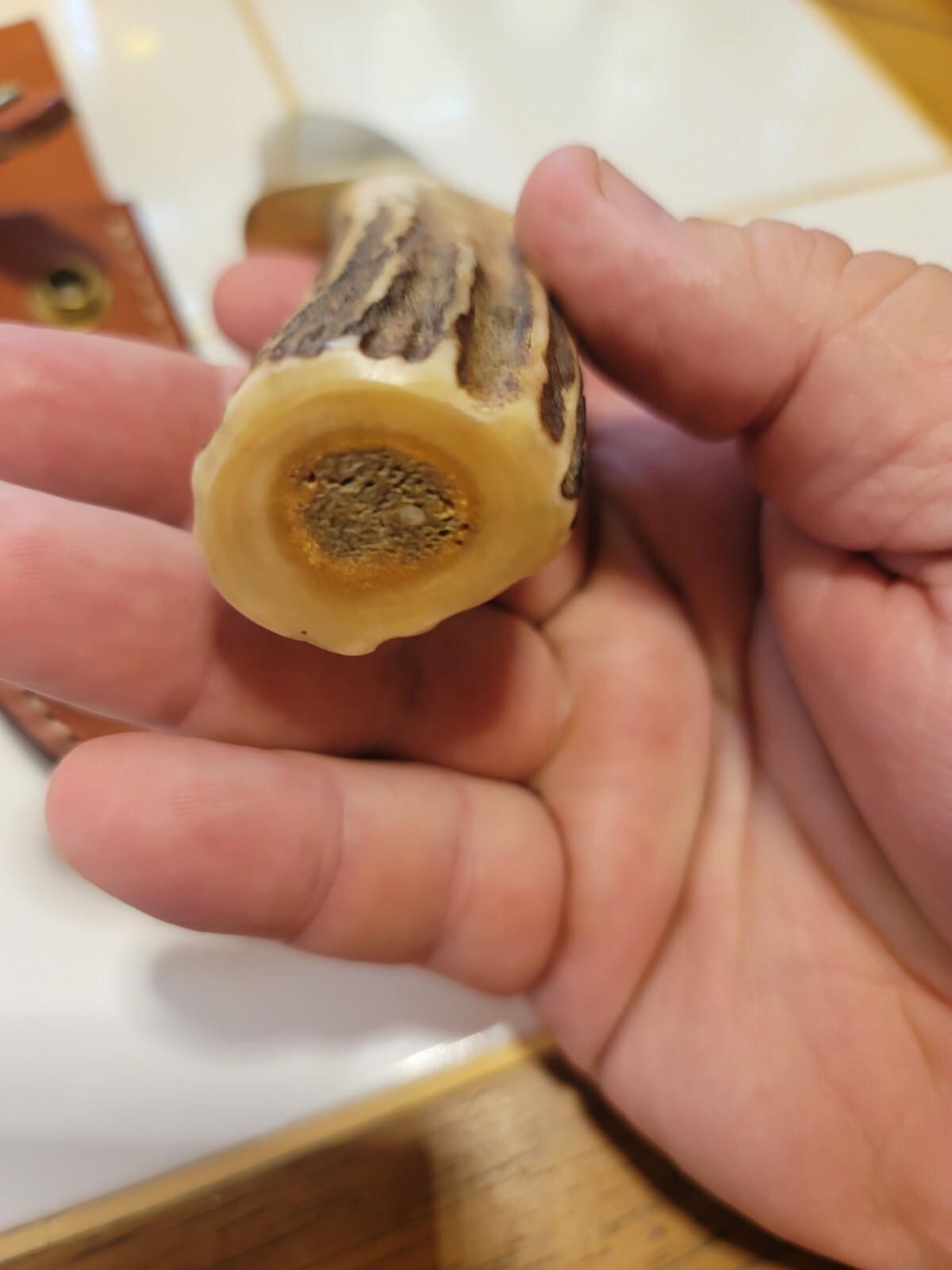 BLACKJACK KNIVES WOODSMAN EFFINGHAM IL HUNTING KNIFE W/SHEATH STAG EXC