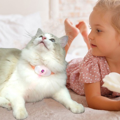 Juguete automático para gatos inteligente láser burlas collar de gato eléctrico carga USB gatito - Imagen 3 de 14