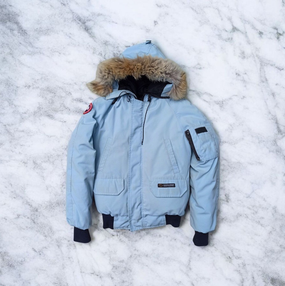 Canada Goose Chilliwack Bomber Jacket Rare Baby Blue Coyote Fur