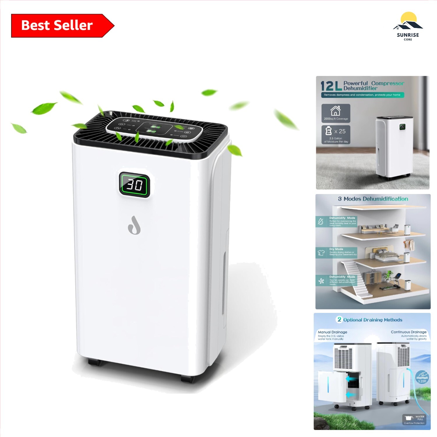 12L Dehumidifier for Home, Auto Humidity Control, 24H Timer, Continuous Drain