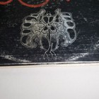 Picture 2 of 8