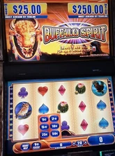 WMS BB2 BUFFALO SPIRIT SLOT MACHINE GAME CARD SOFTWARE ONLY FUN PLAY G+ DELUXE