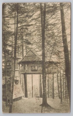 Sinaia Das Königinnennest Cuibul Reginei Baumhaus Rumänien [1924] seltene Ansicht