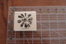 Stampin' Up DAISY Sketch Flower Plant Petal Prints Wood Stamp
