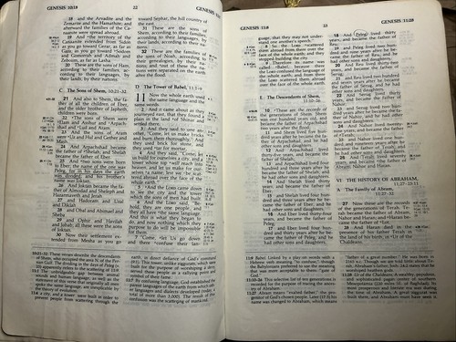 the ryrie study bible new american standard 1978 Leatherette - Picture 13 of 17