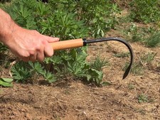 Grampa's Garden Hook - Weed Puller Tool & Gardening Hand Cultivator - Versatile - Image 4