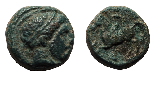 Unité de Bronze / Philippe II de Macédoine / (359-356) / Amphipolis / Macédoine
