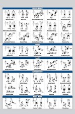 Dumbbell Workout Chart, Bodybuilding Guide, Gym Poster 18x24, Laminated, White