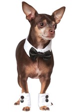 Wedding Tuxedo Bowtie and Cuffs Pet Dog Cat Accessory Set