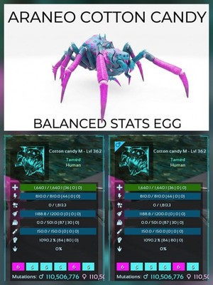 ARANEO Balanced Stats - EGG PAIR -  Ark Survival Ascended PVE Official Crossplay