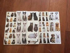 Paper House Lot Dog Cat Stickers! Kitten Birman Tabby Persian Real photo Puppy