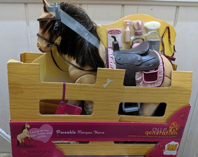 our generation morgan foal