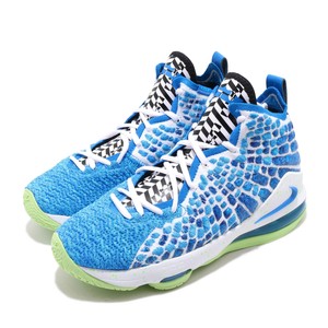 lebron 17 shoes for kids