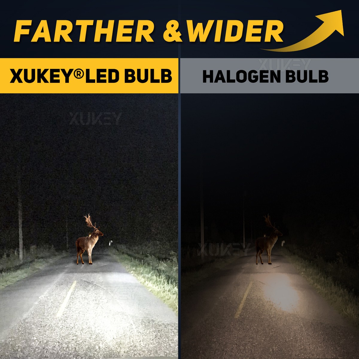 H4 LED Motorverlichting – Halogeen naar LED Ombouw | VEO Store