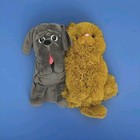 Foto 1 di 12