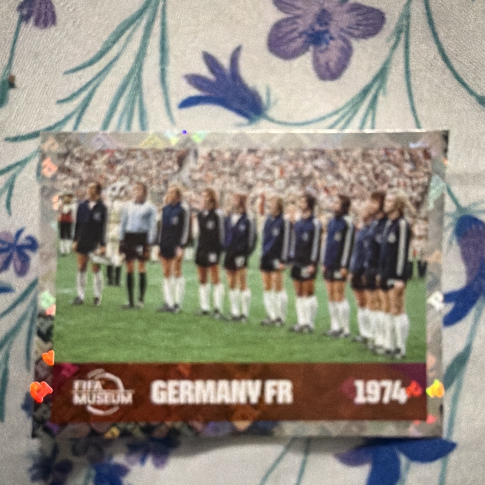 Panini FIFA World Cup 1974 Germany FR Team Picture Soccer Sticker