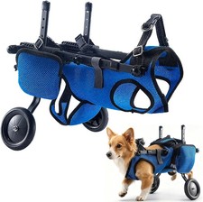 Dog Wheelchair for Back Legs   Hind Limb Cart