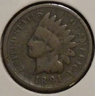 Indian Head Cent - 1891 (some dings) [22]