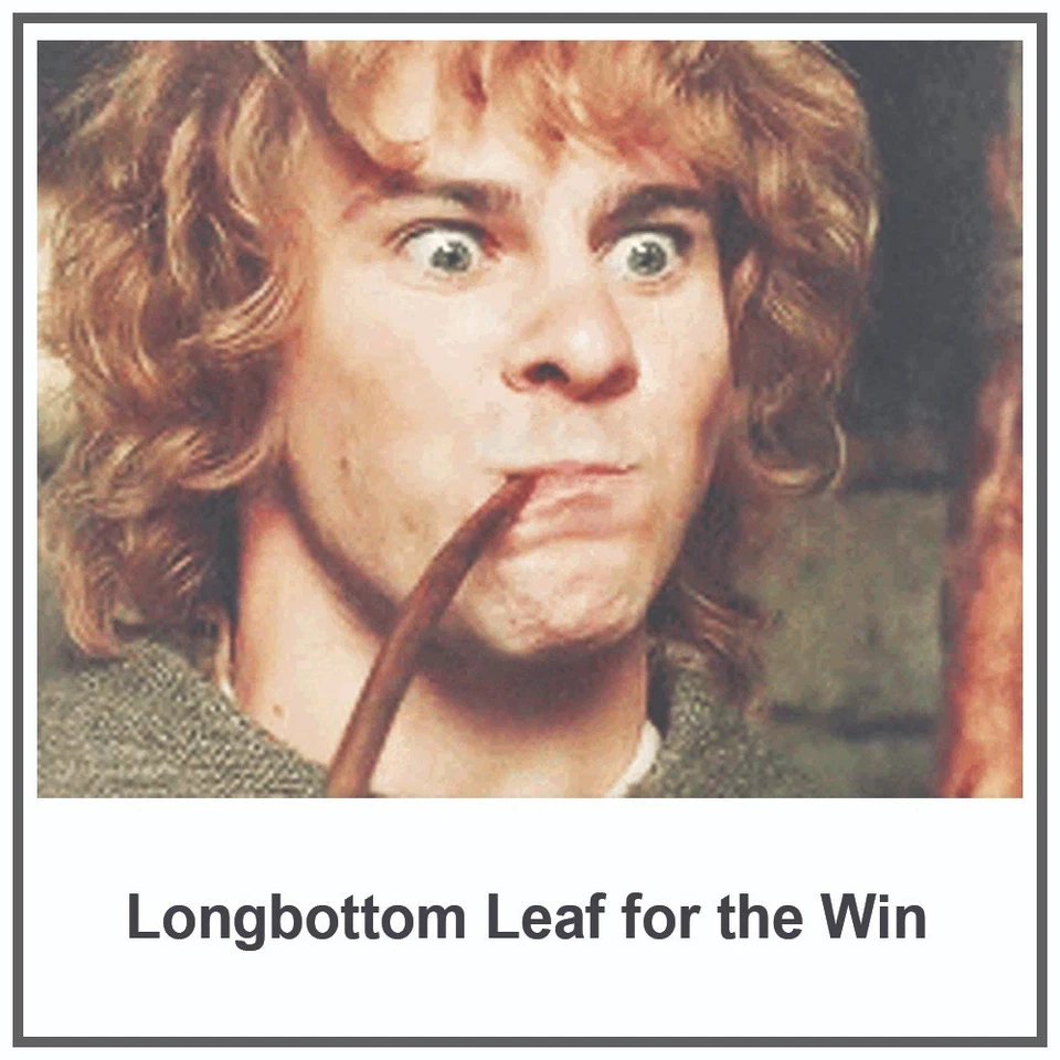 长底叶烟草甘道夫烟斗杂草指环王乐透电影 T 恤 — 第 3/4 张图片