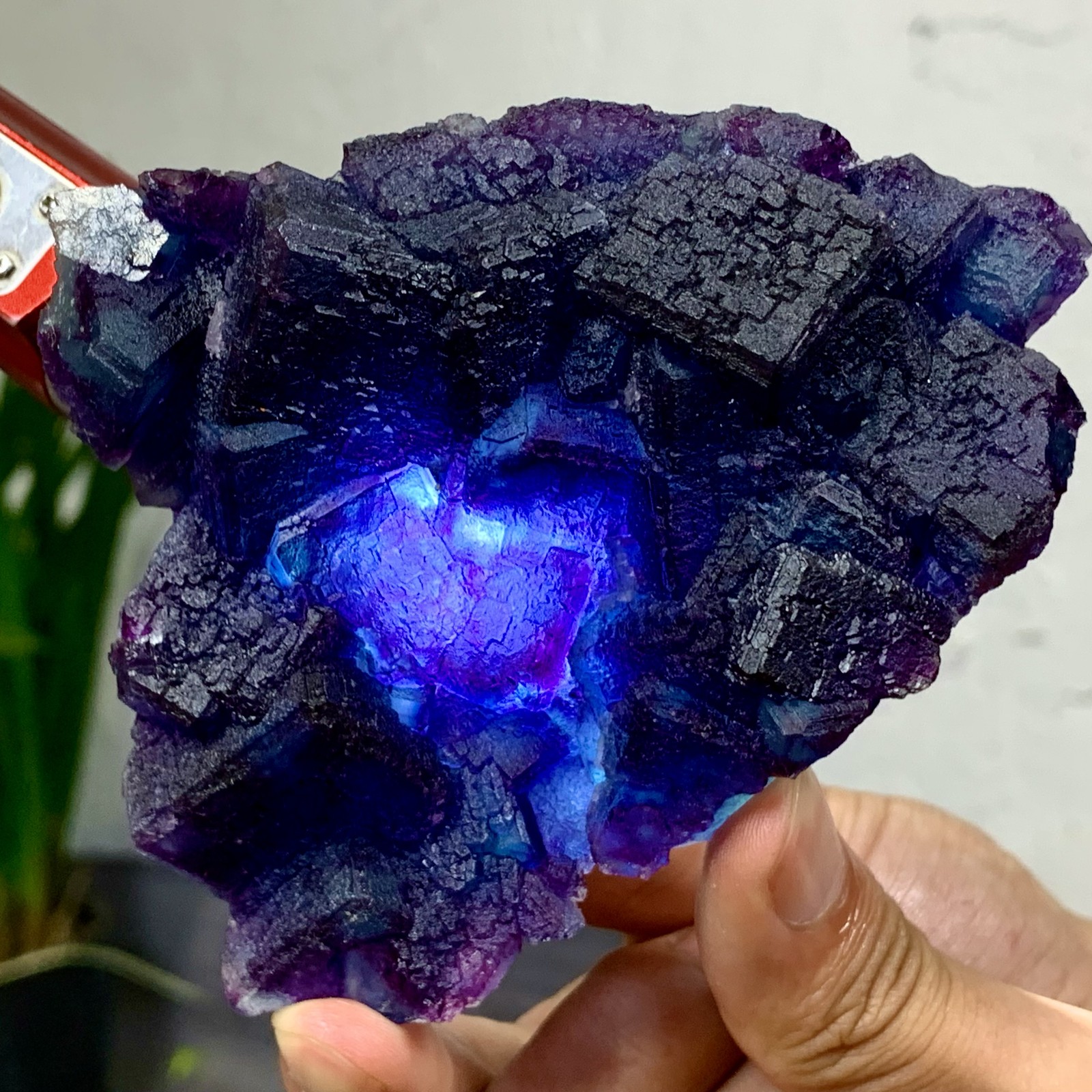 Rare 376G Purple Blue Cubic Fluorite Crystal Specimen from Zhejiang China