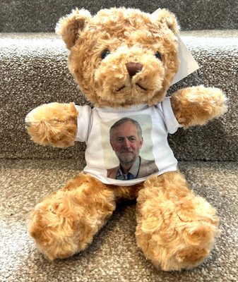 Jeremy Corbyn 12 Zoll Teddybär Ihre Party